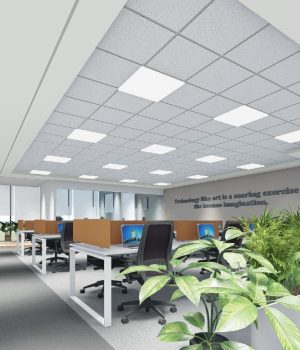 WhatsApp Image 2025-12-10 at 5.51.10 PM (3)